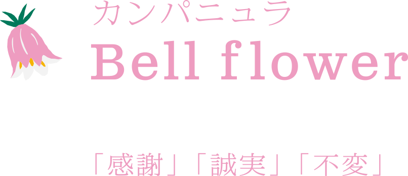カンパニュラ Bell flower 感謝、誠実、不変